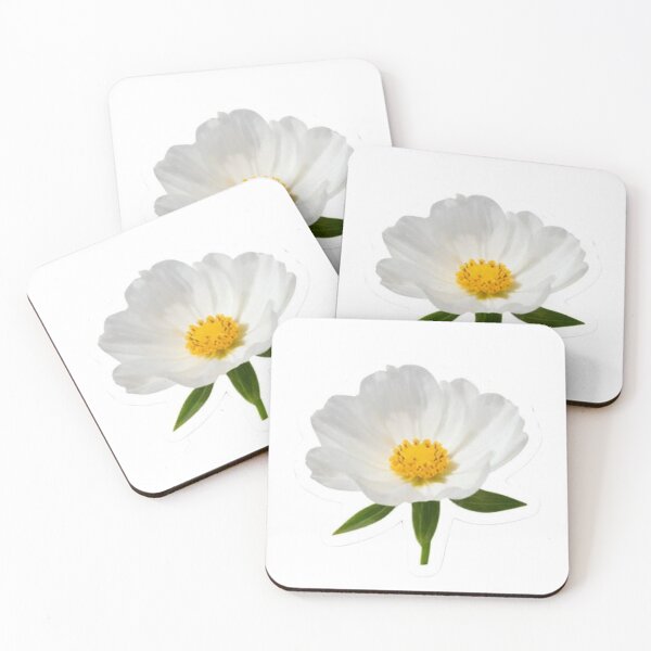 Item preview, Soft White Cosmos Flower In Bloom designed and sold by deisgnsbyshane.