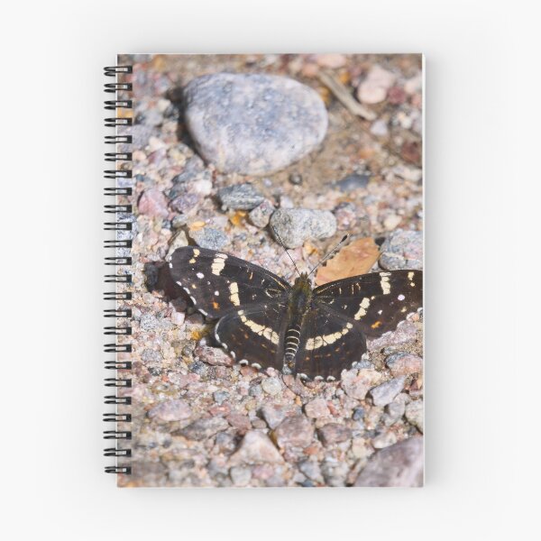 Item preview, Groundmap. Map Butterfly designed and sold by Jouko Lehto Photography.