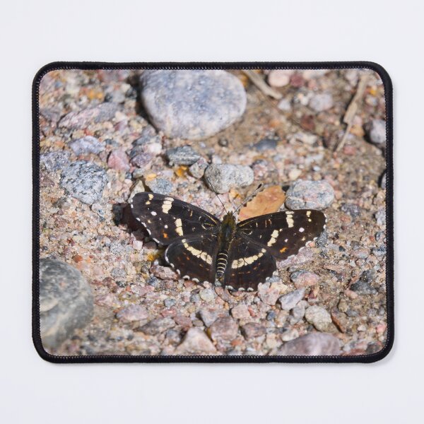Item preview, Groundmap. Map Butterfly designed and sold by Jouko Lehto Photography.