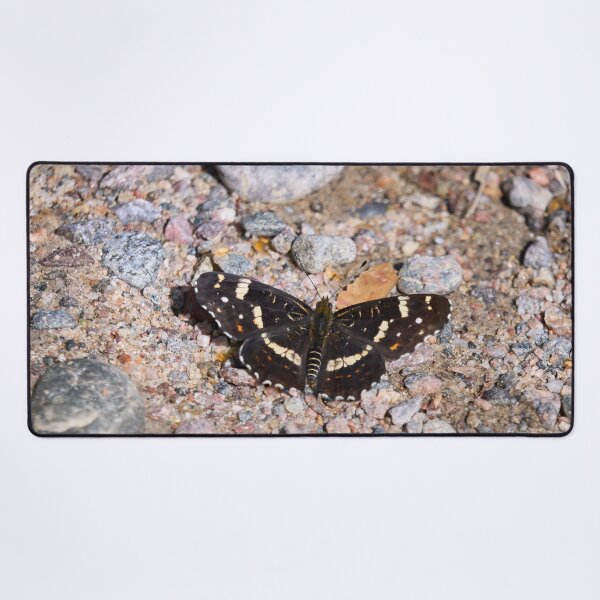 Item preview, Groundmap. Map Butterfly designed and sold by Jouko Lehto Photography.