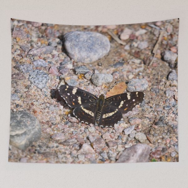 Item preview, Groundmap. Map Butterfly designed and sold by Jouko Lehto Photography.