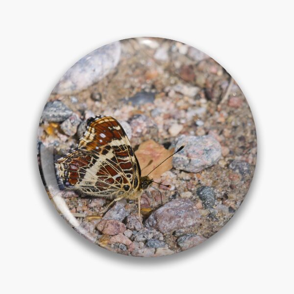 Item preview, Hiding in the plain sight. Map Butterfly designed and sold by Jouko Lehto Photography.