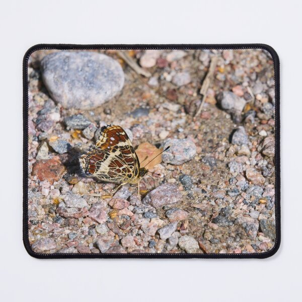 Item preview, Hiding in the plain sight. Map Butterfly designed and sold by Jouko Lehto Photography.