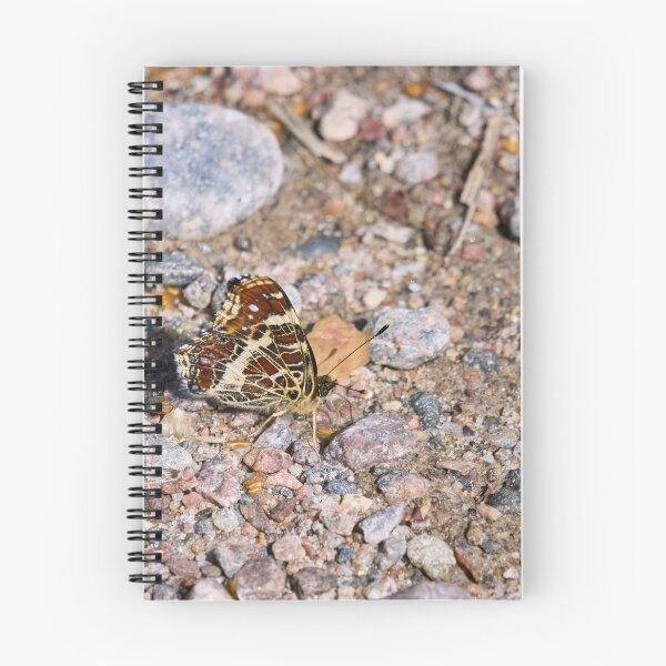 Item preview, Hiding in the plain sight. Map Butterfly designed and sold by Jouko Lehto Photography.