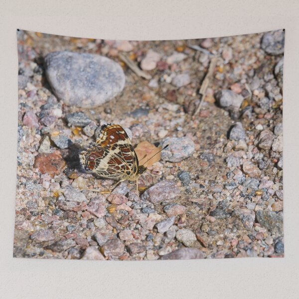 Item preview, Hiding in the plain sight. Map Butterfly designed and sold by Jouko Lehto Photography.