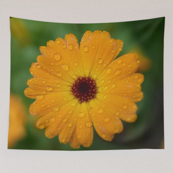 Item preview, Pearls of water. Mary's gold designed and sold by Jouko Lehto Photography.