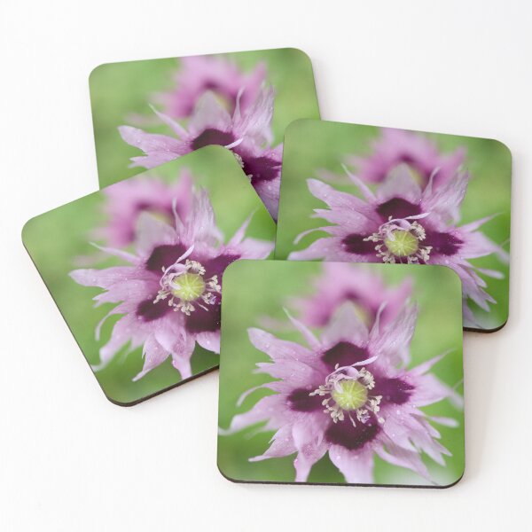 Item preview, Light lilac. Breadseed poppy designed and sold by Jouko Lehto Photography.