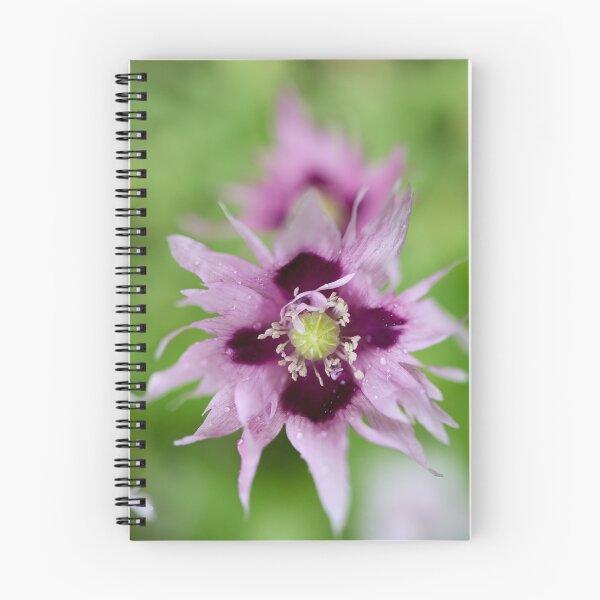 Item preview, Light lilac. Breadseed poppy designed and sold by Jouko Lehto Photography.