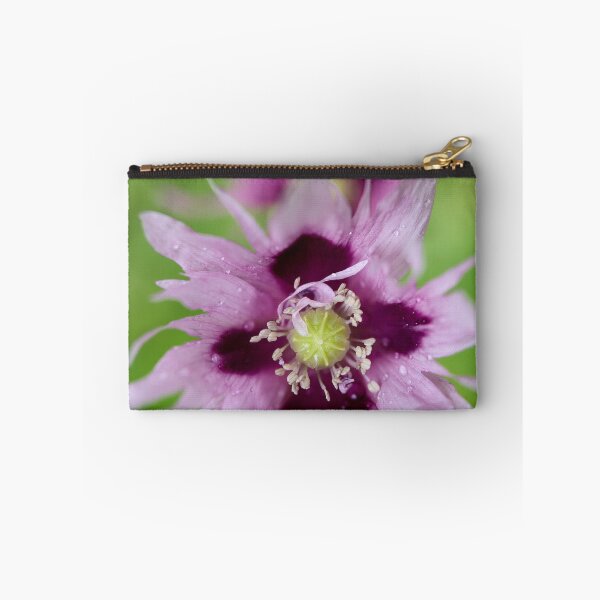 Item preview, Light lilac. Breadseed poppy designed and sold by Jouko Lehto Photography.
