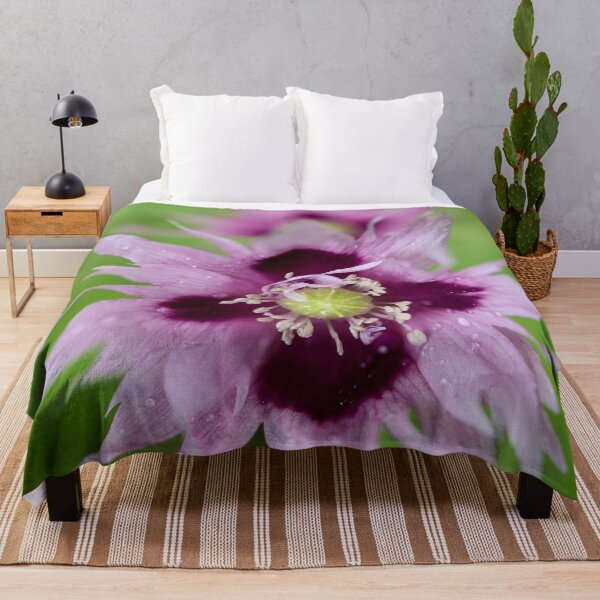 Item preview, Light lilac. Breadseed poppy designed and sold by Jouko Lehto Photography.