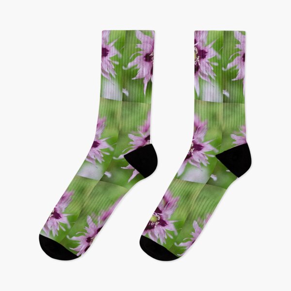 Item preview, Light lilac. Breadseed poppy designed and sold by Jouko Lehto Photography.