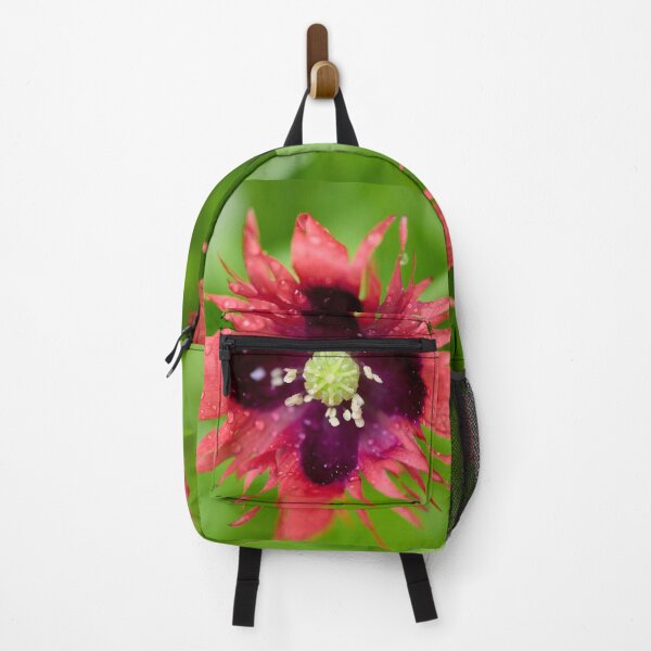 Item preview, Burning red with waterdrops. Breadseed poppy designed and sold by Jouko Lehto Photography.
