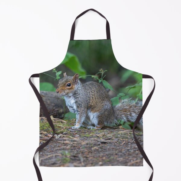 Item preview, Eastern grey squirrel (Sciurus carolinensis) designed and sold by Stephen Jarman.