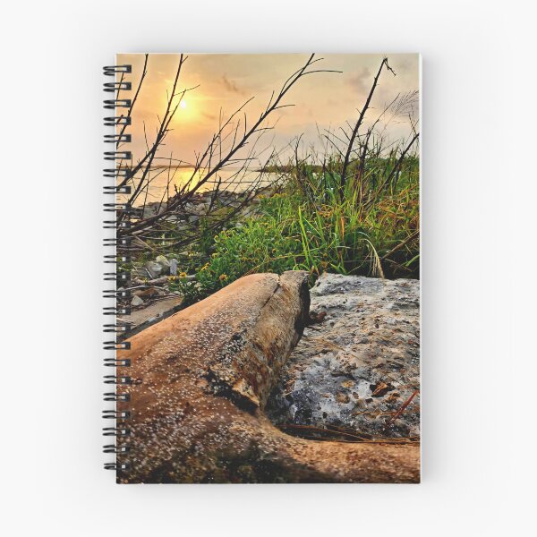 Item preview, Driftwood & Marsh Sunrise designed and sold by CoastalPetal.