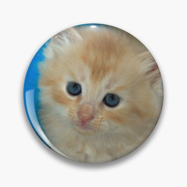 Item preview, Portrait of cute red kitten designed and sold by olena2552.