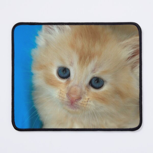 Item preview, Portrait of cute red kitten designed and sold by olena2552.