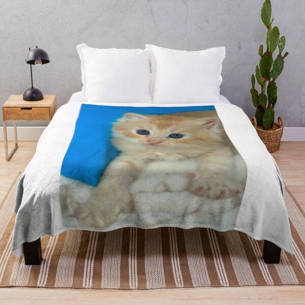 Item preview, Portrait of cute red kitten designed and sold by olena2552.