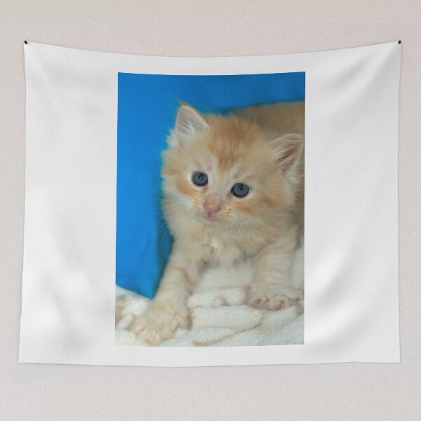 Item preview, Portrait of cute red kitten designed and sold by olena2552.