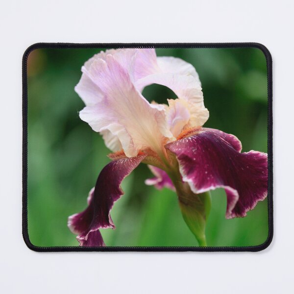 Item preview, Colorful flower in summer garden designed and sold by olena2552.