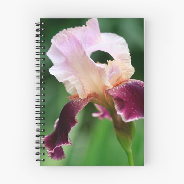 Item preview, Colorful flower in summer garden designed and sold by olena2552.