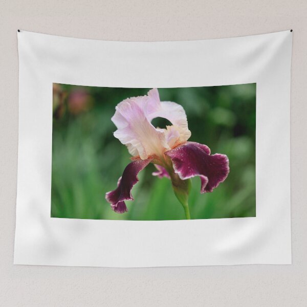 Item preview, Colorful flower in summer garden designed and sold by olena2552.