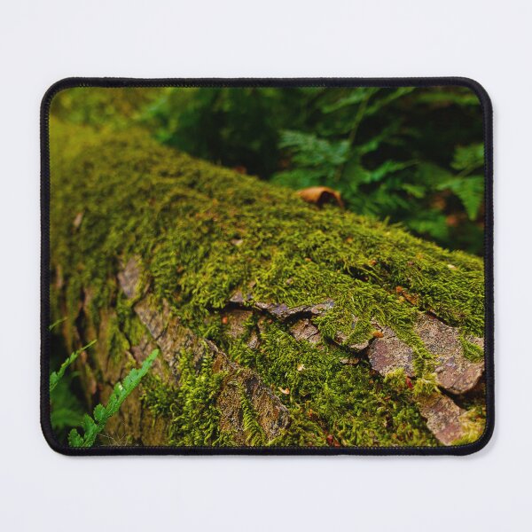 Item preview, Holme Fen Woodland | Moss Covered Log, Cambridgeshire Nature Reserve designed and sold by MikeWalksUK.