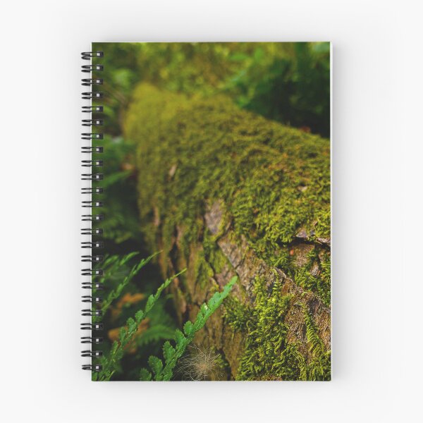 Item preview, Holme Fen Woodland | Moss Covered Log, Cambridgeshire Nature Reserve designed and sold by MikeWalksUK.