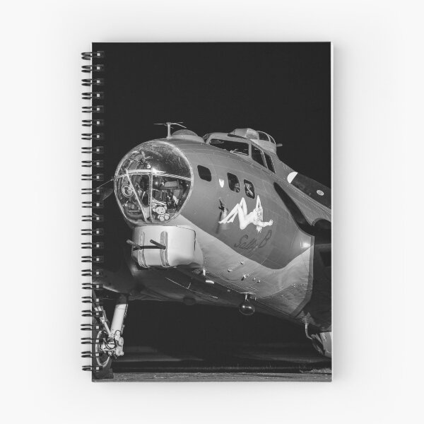 Item preview, B17 - Sally B designed and sold by Rob Herrin Photography.