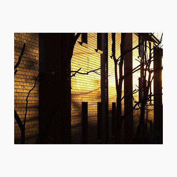 Artikelvorschau, Sunrise - Sydney University Village entworfen und verkauft von Paul Todd.