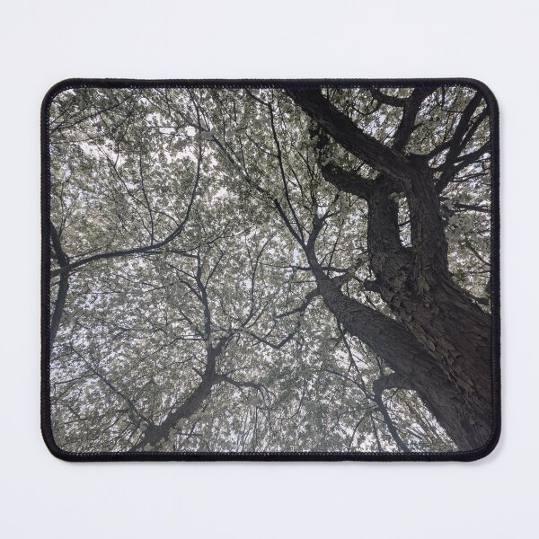 Item preview, Bradford pear designed and sold by MacroFlower.