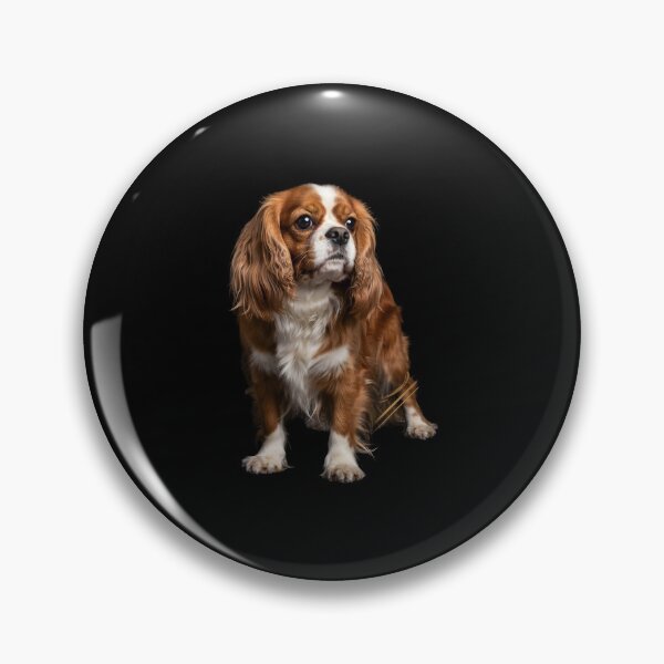 Item preview, Cavalier King Charles Cute Blenheim Spaniel Dog designed and sold by Redgiant87x.