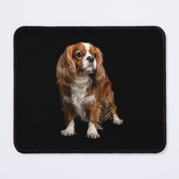 Item preview, Cavalier King Charles Cute Blenheim Spaniel Dog designed and sold by Redgiant87x.