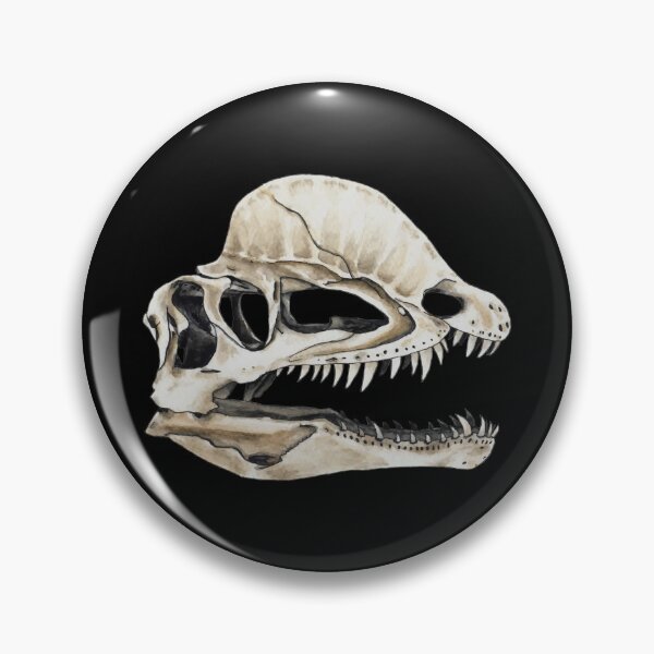 Item preview, Dilophosaurus Skull designed and sold by ShoddyFox.