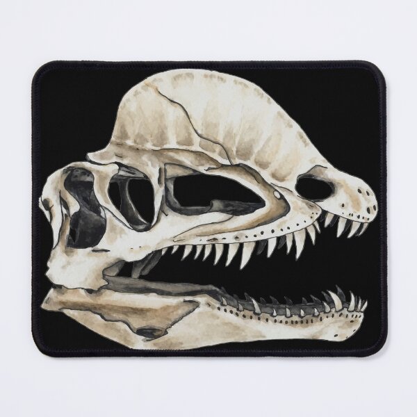 Item preview, Dilophosaurus Skull designed and sold by ShoddyFox.