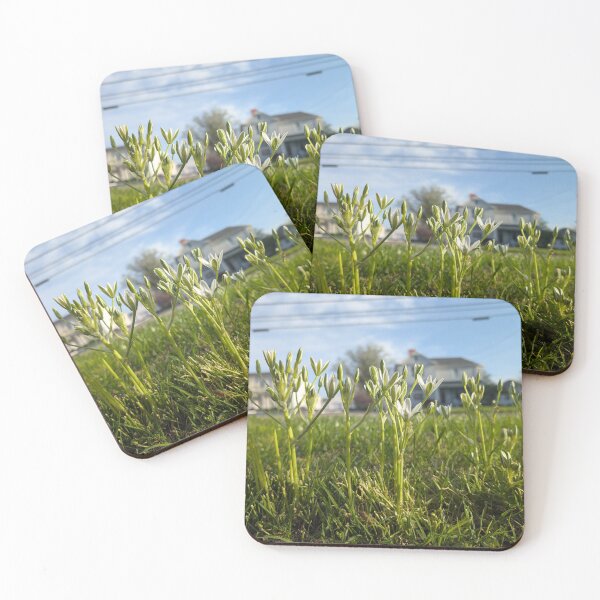 Item preview, Star-of-Bethlehem designed and sold by MacroFlower.