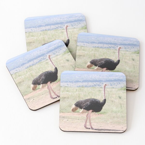 Item preview, Ostrich designed and sold by withlovedaisy.