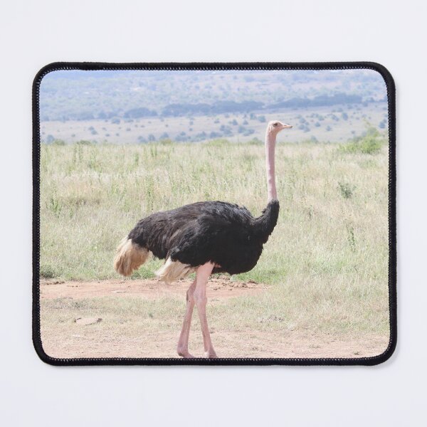 Item preview, Ostrich designed and sold by withlovedaisy.