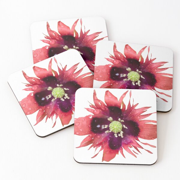 Item preview, Burning red with waterdrops. Breadseed poppy transparent designed and sold by Jouko Lehto Photography.