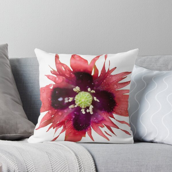 Item preview, Burning red with waterdrops. Breadseed poppy transparent designed and sold by Jouko Lehto Photography.