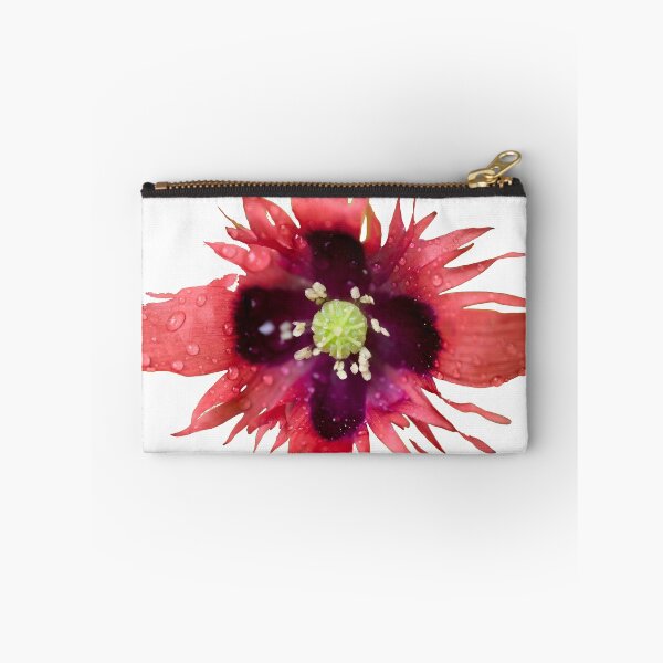 Item preview, Burning red with waterdrops. Breadseed poppy transparent designed and sold by Jouko Lehto Photography.