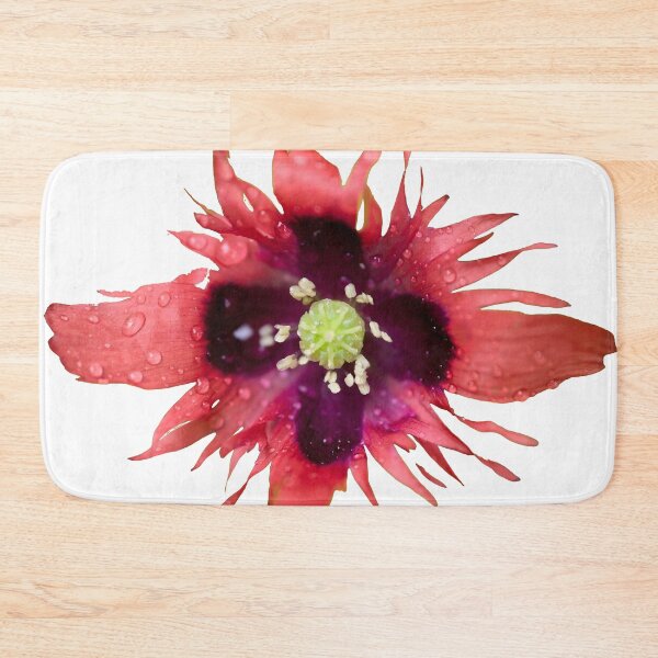 Item preview, Burning red with waterdrops. Breadseed poppy transparent designed and sold by Jouko Lehto Photography.