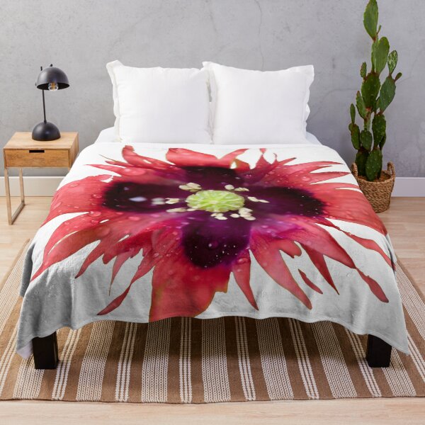 Item preview, Burning red with waterdrops. Breadseed poppy transparent designed and sold by Jouko Lehto Photography.