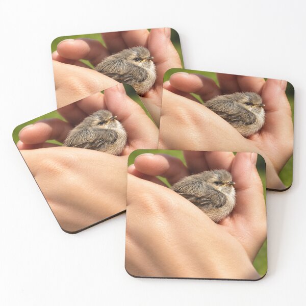 Item preview, Safe in Gentle Hands designed and sold by Kimberly Palmer.