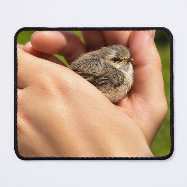 Item preview, Safe in Gentle Hands designed and sold by Kimberly Palmer.