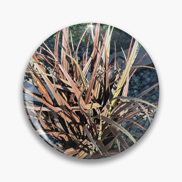 Item preview, ⁠Red Flax Ornamental Grass Garden Landscape Photography⁠ designed and sold by Julia9632.