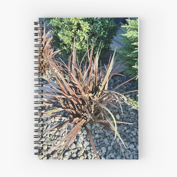 Item preview, ⁠Red Flax Ornamental Grass Garden Landscape Photography⁠ designed and sold by Julia9632.
