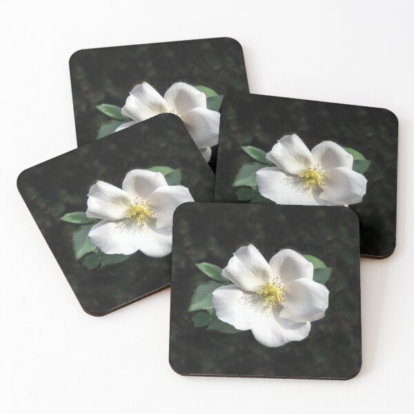 Item preview, Belleza brillante designed and sold by heatherfriedman.