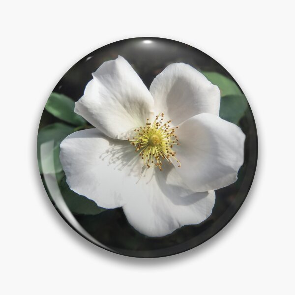 Item preview, Bright Beauty  designed and sold by heatherfriedman.