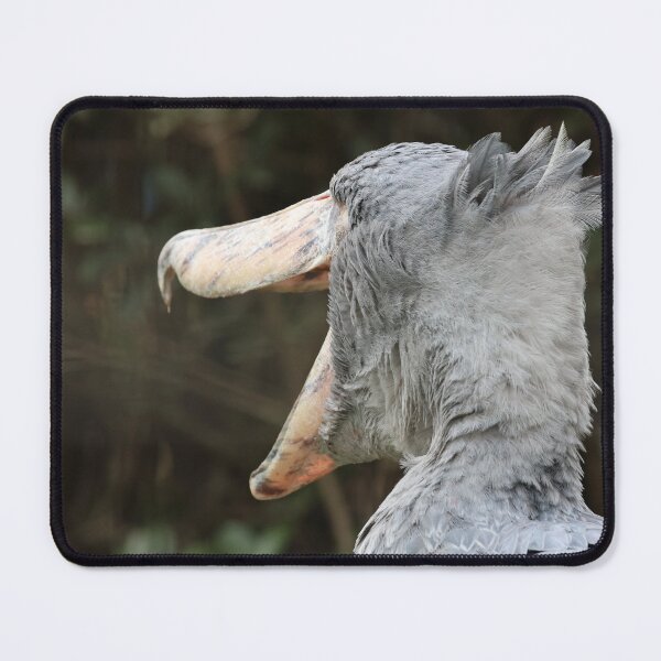 Item preview, Shoebill Portrait With Its Unmistakable Giant Beak designed and sold by Nature Explore Game.