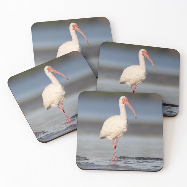Item preview, White Ibis Standing in Calm Shallow Water designed and sold by Nature Explore Game.